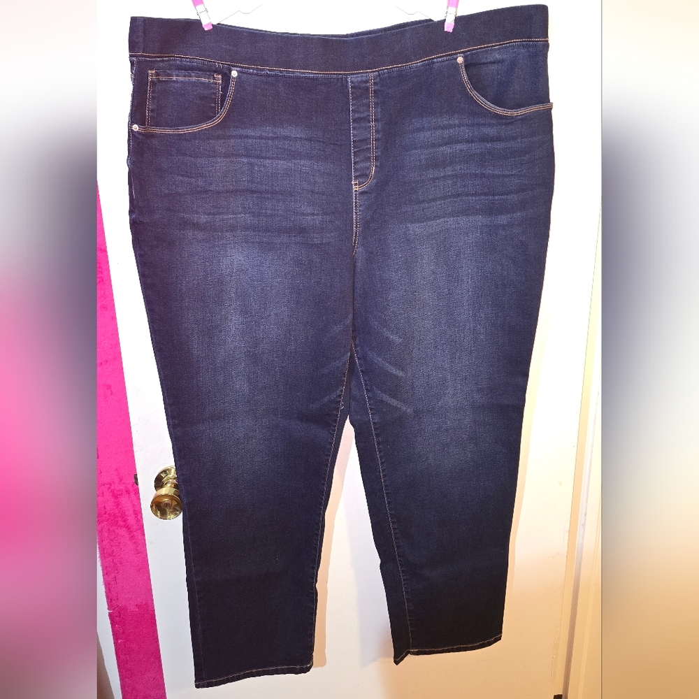 Terra & Sky Women's Dark Indigo Jeggings